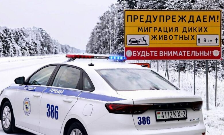 «Будьте готовы к неадекватной реакции»