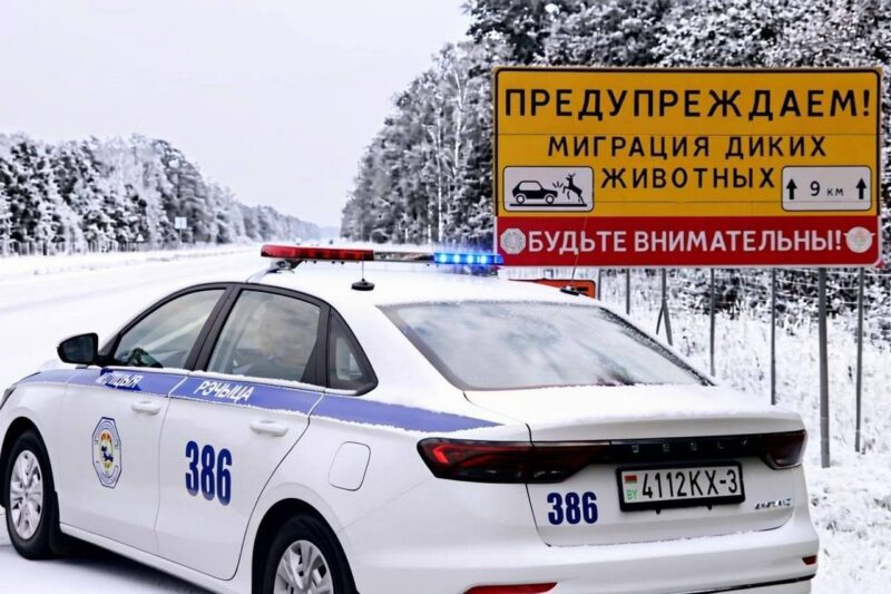 «Будьте готовы к неадекватной реакции»