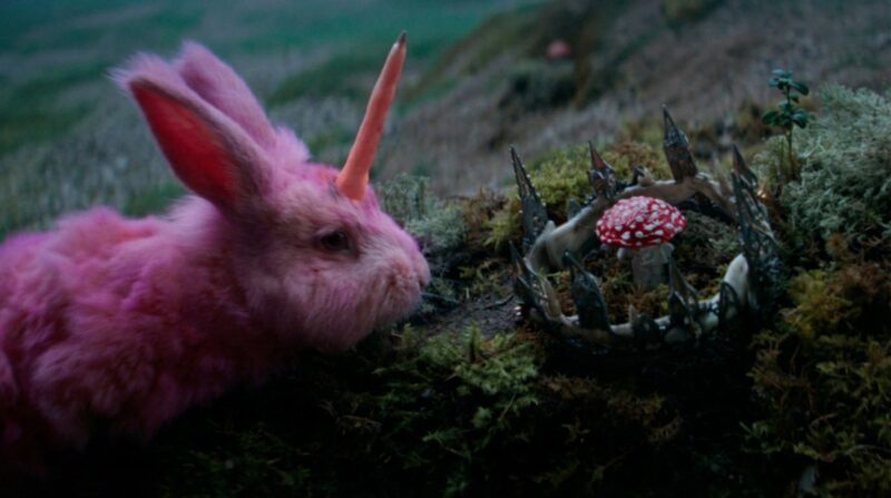 Фильм «Король и Шут