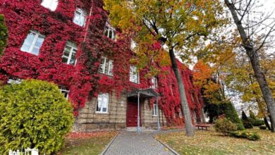 Купаловский университет представил