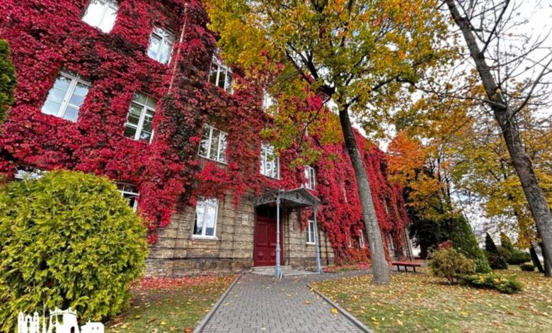 Купаловский университет представил