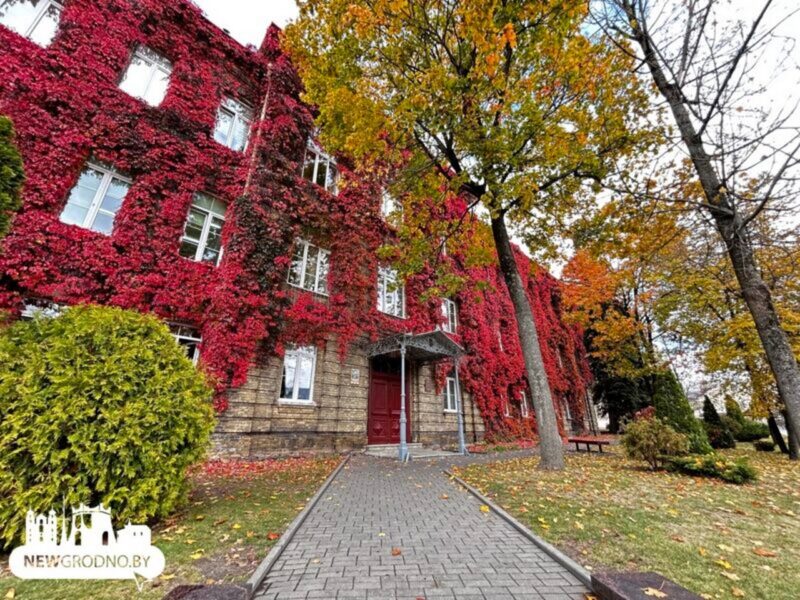 Купаловский университет представил