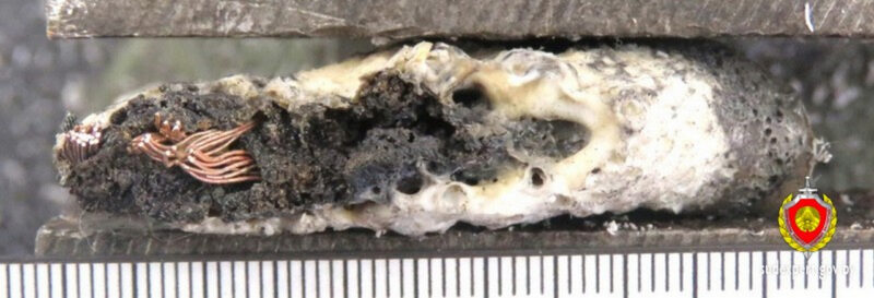 Опасный прогрев: почему