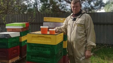 Молодой лидский пасечник