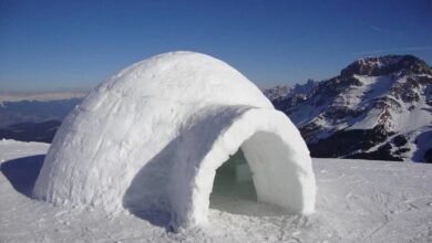 В России придумали