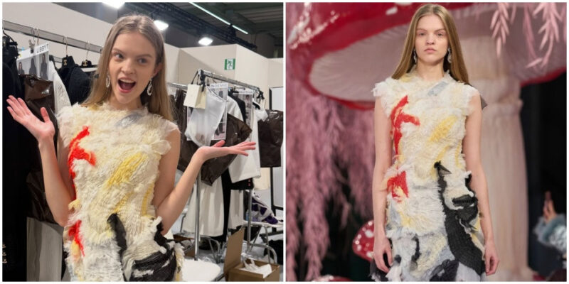 белорусская модель