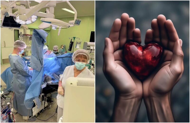 сербу пересадили