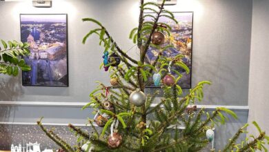 Новогодняя ёлка в Гродно вышла из спячки