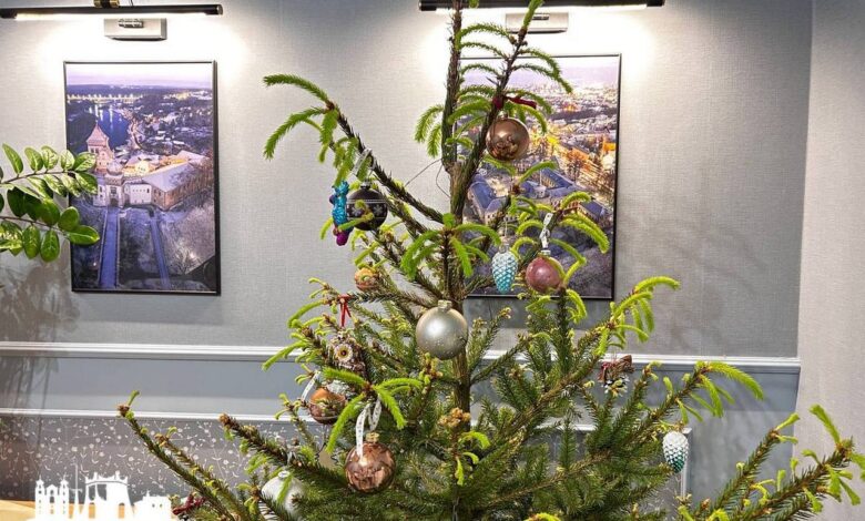 Новогодняя ёлка в Гродно вышла из спячки