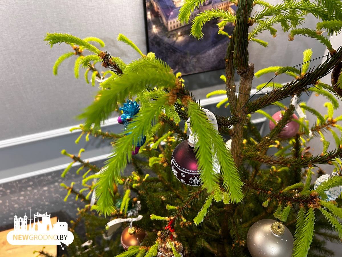 Новогодние ёлки в Гродно вышли из спячки