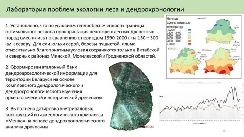 Почему из лесов Беларуси