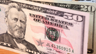 В Беларуси выросло число