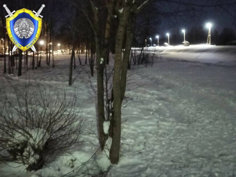 в Полоцке ребёнок пострадал