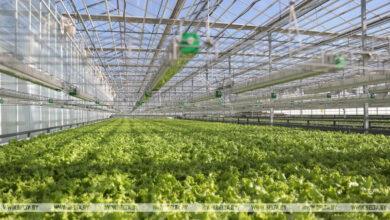 В Беларуси построят умные