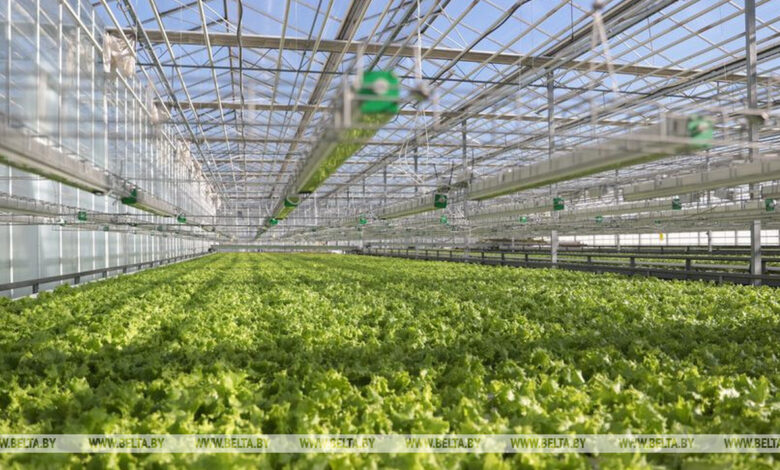 В Беларуси построят умные