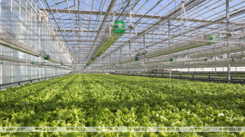 В Беларуси построят умные