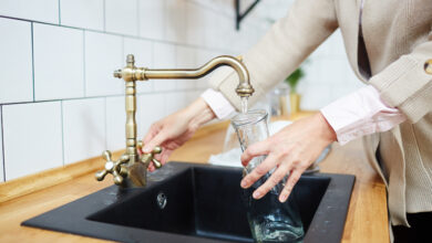 Более 500 тыс. белорусов живут