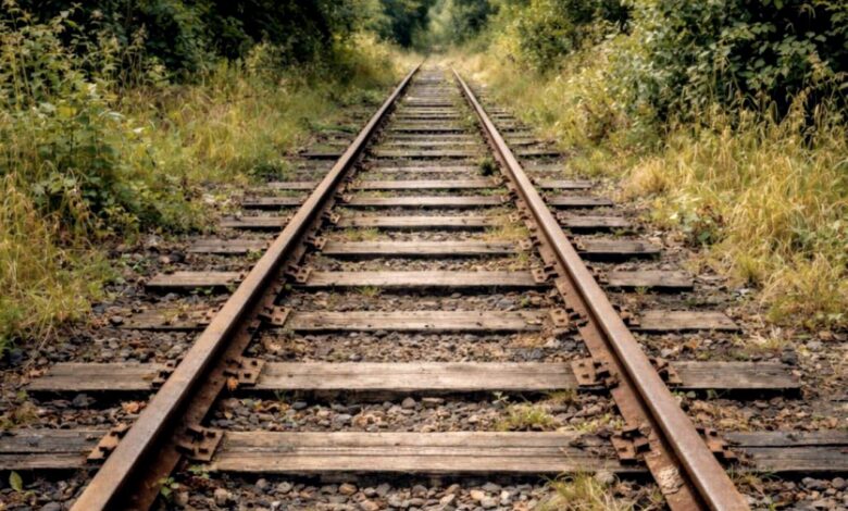 В Лиде кто-то купил часть железной