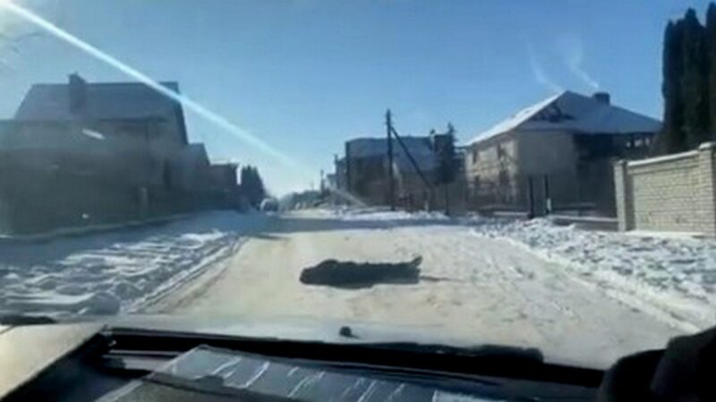 под Гродно сотрудники ГАИ