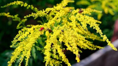 В Гродненской области усилят