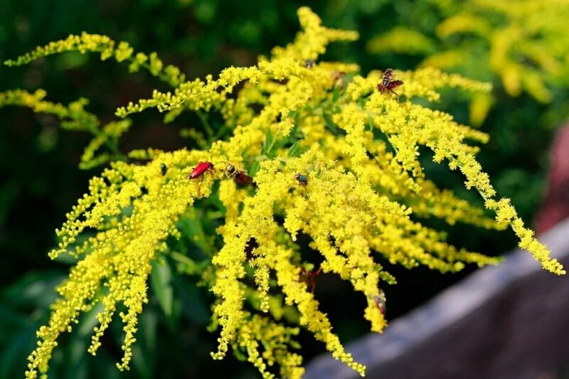 В Гродненской области усилят борьбу