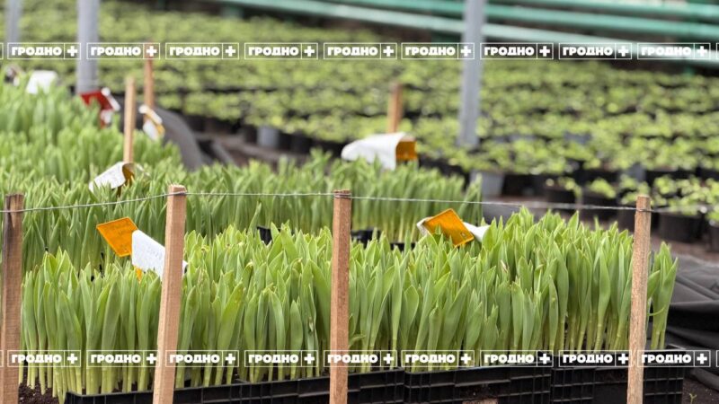 Весна уже скоро