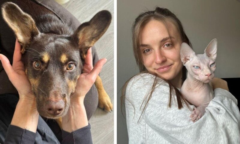 окупается ли инвестиция