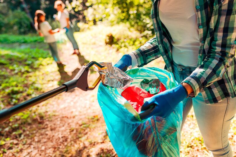 За мусор в лесу