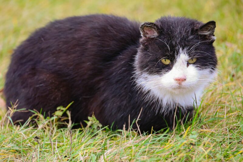 Какие земли в Беларуси