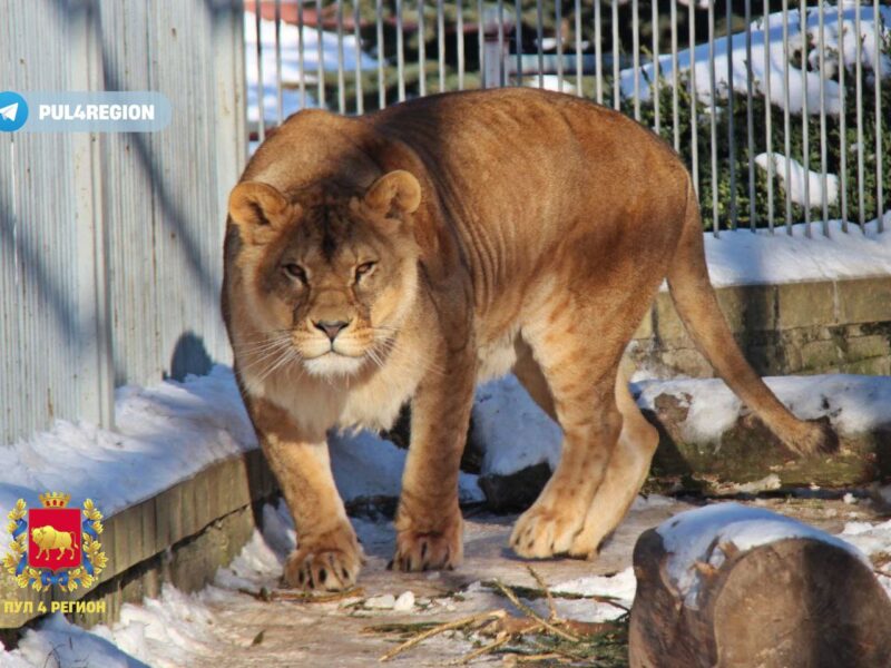 малоизвестные факты