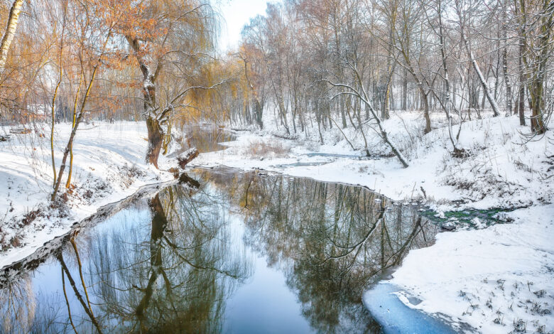 Угрожает ли Беларуси опасное