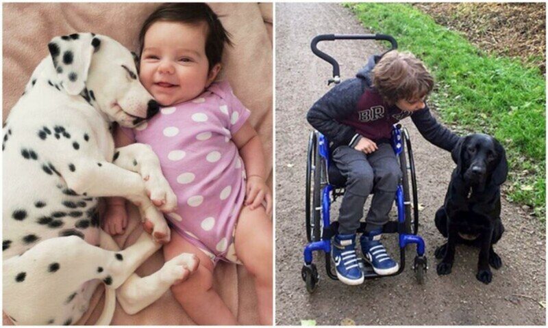 35 трогательных