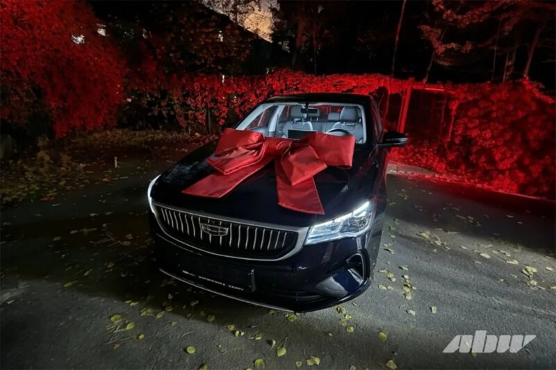 трогательные истории