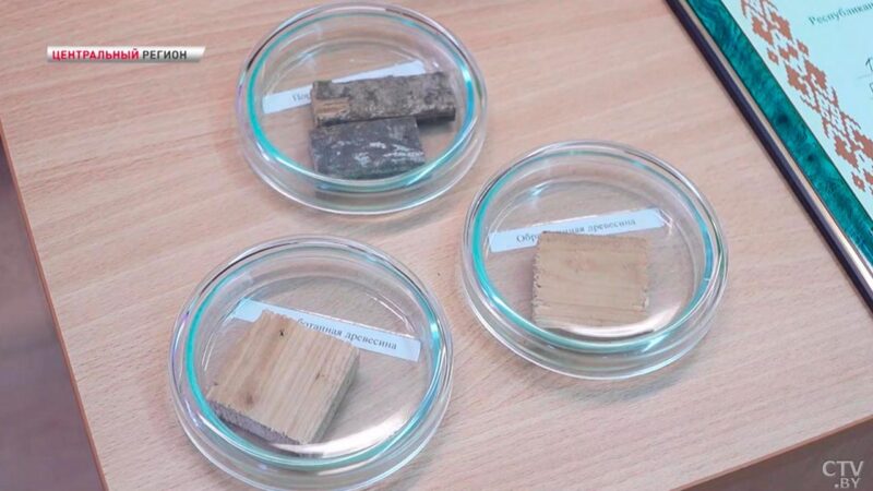 Ученица из Молодечно