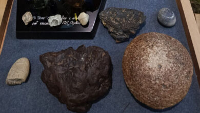 В Лидском музее хранится