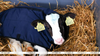 В Гродненской области построят