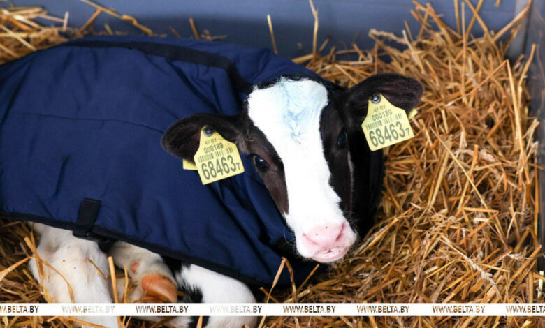 В Гродненской области построят