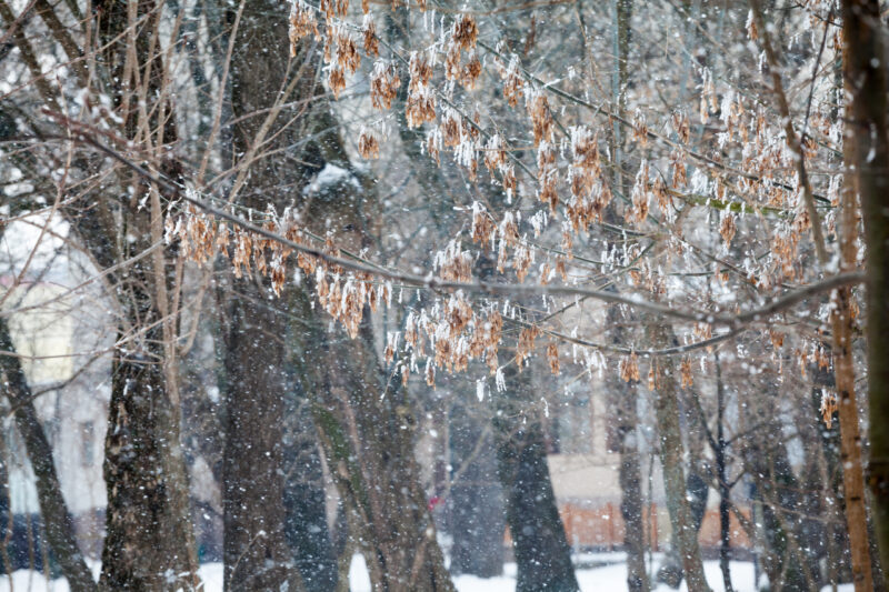 Оранжевый уровень