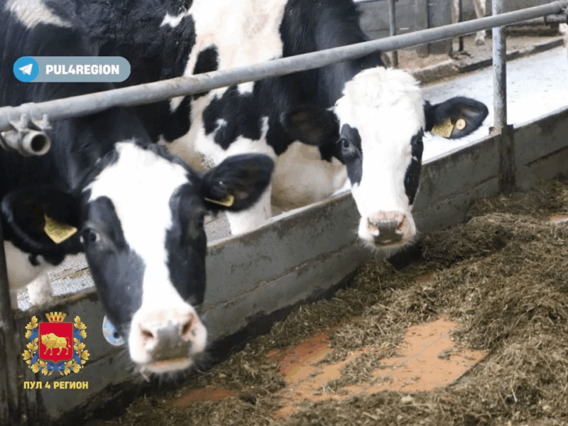 ученые из Гродно