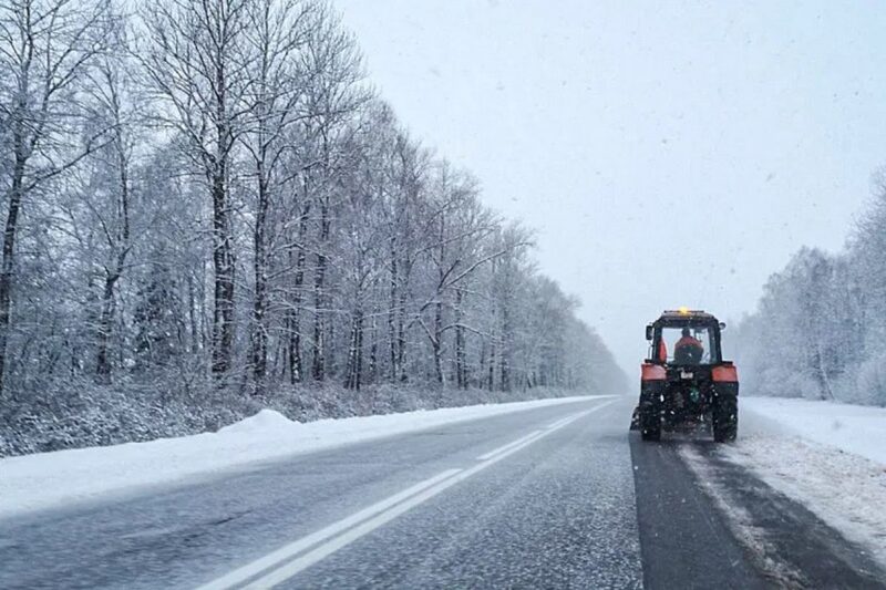 в Беларуси рассказали
