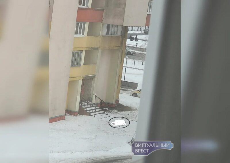 в Бресте подросток погиб