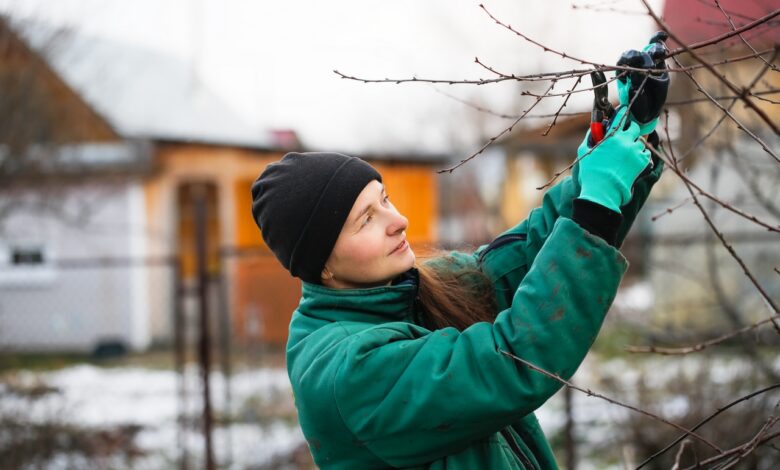 Обрезка “по пеньки”