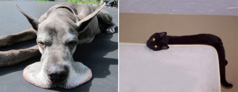 21 неоспоримый