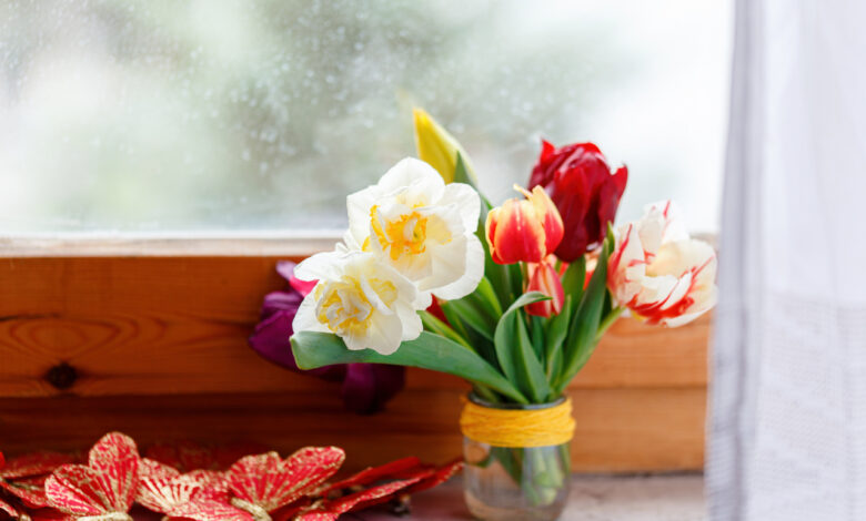 Весна в доме