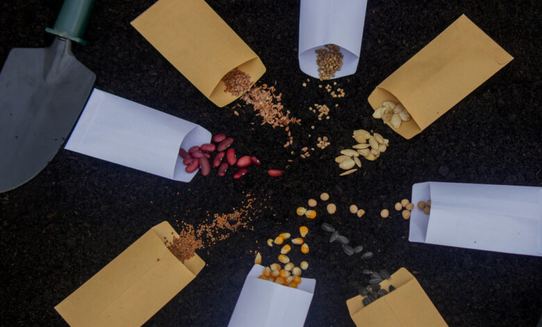 Как правильно читать