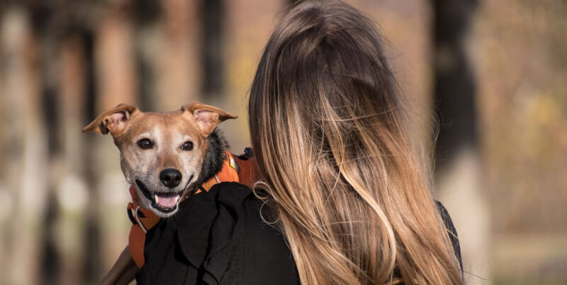 Адвокат объяснил