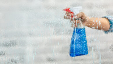 Застолье под Минском закончилось