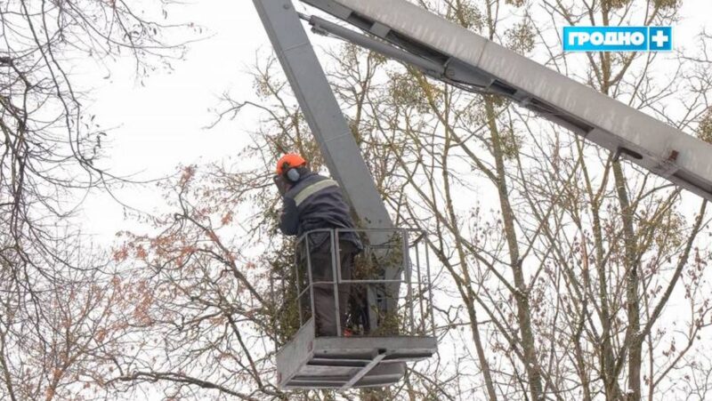 как в Гродно борются