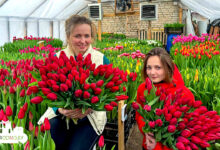 Как гродненцы выращивают цветы