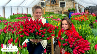 Как гродненцы выращивают цветы